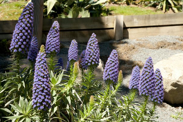 Accessoires vin : découvrez des trésors pour vos bouteilles