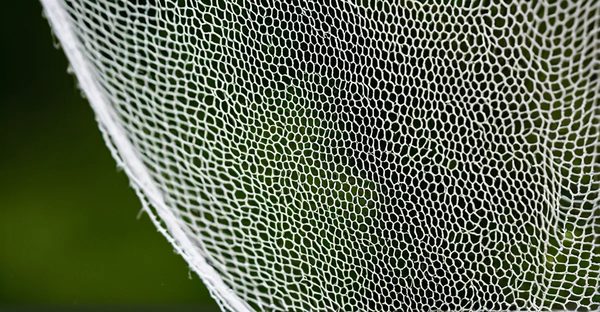 Moustiquaire insectifix : protection sans perçage efficace