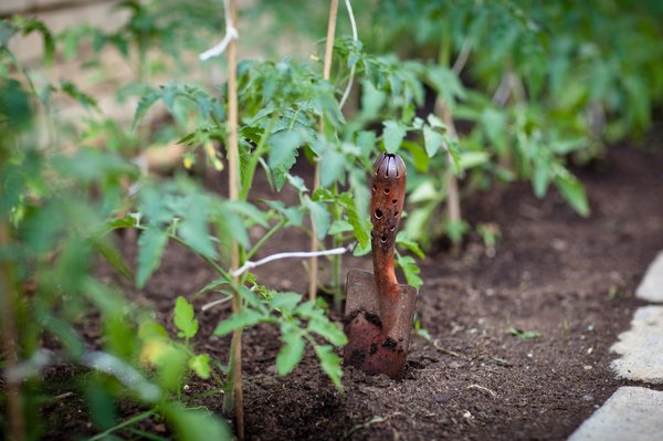 Top 5 raisons de choisir la permaculture à Genève pour un futur durable