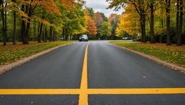 Découvrez comment créer une allée carrossable pas cher