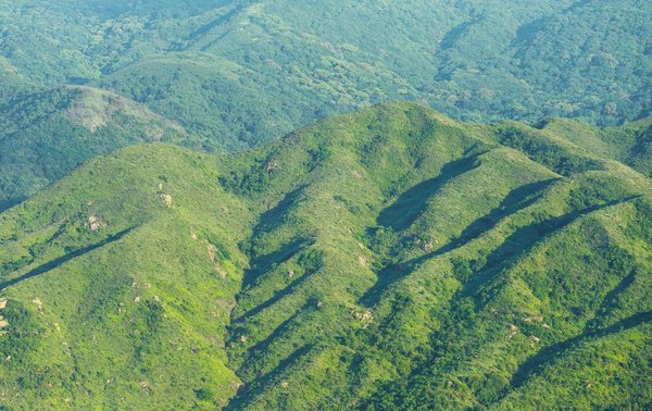 Cave à vin sous escalier : alliez esthétisme et praticité
