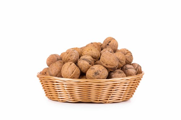 Paniers en osier : alliez style et praticité