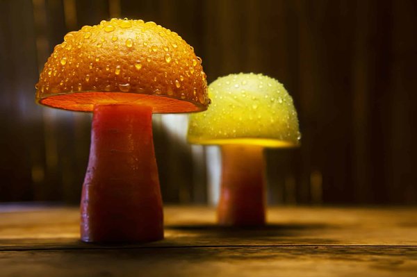 L'élégance des lampes champignon, n°1 en France